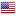 flag US